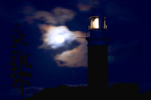 Moonlight over Eddystone Point - 2007