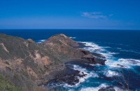 Cape Schanck